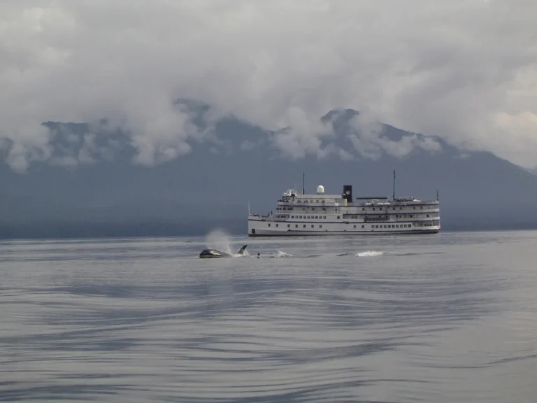 The 187' Spirit of '98 excursion vessel, also known as the Pilgrim Belle